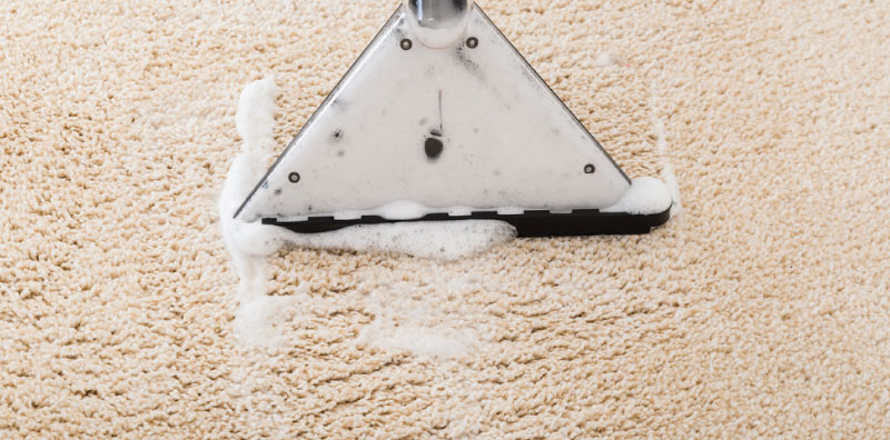 restore high traffic carpet to new